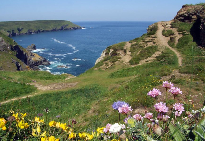  Coastal path Welcombe