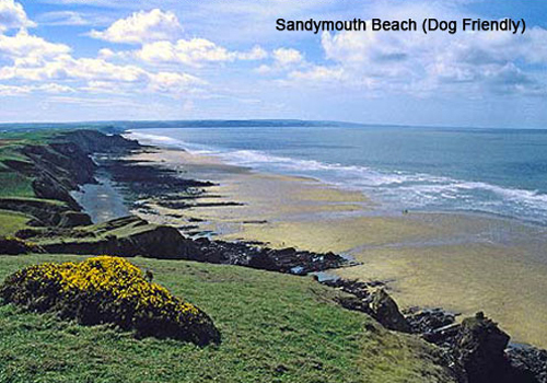 Sandymouth Beach